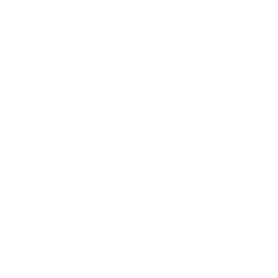 Organic SEO icon showing a leaf inside a magnifying glass