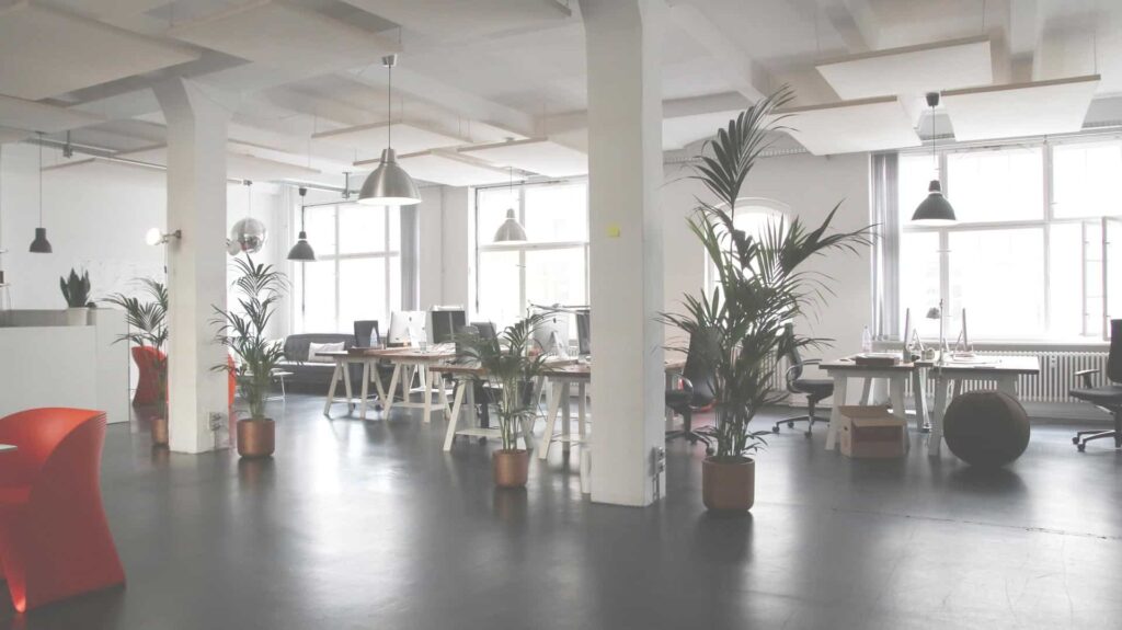 Bright open-plan office with pillars, desks and pot plants